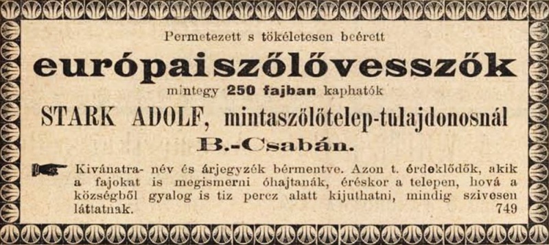Fájl:Stark hirdetes 1894.jpg